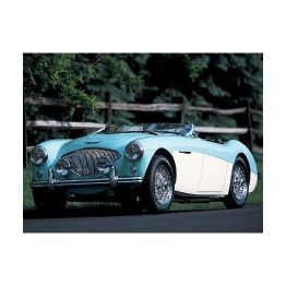 Austin Healey Parts