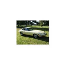 Jaguar E Type Parts