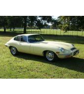 Jaguar E Type Parts