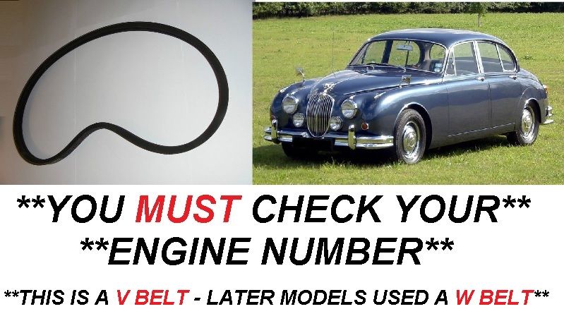FAN BELT (Jaguar Mk2, 240 ) (2.4 Only) (**Not 3.4 or 3.8 **) (1959- Eng. BH5364)