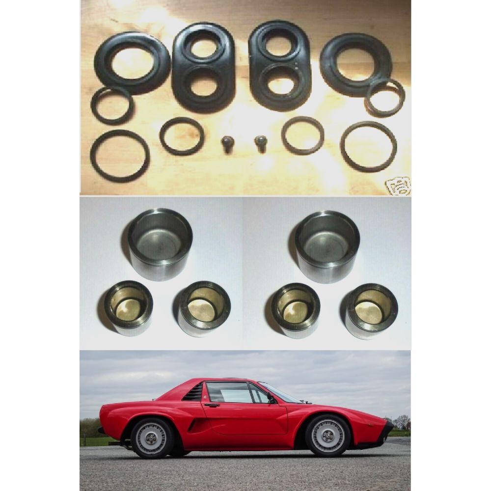 REAR BRAKE CALIPER PISTONS & SEALS x6 (AC 3000) (1979- 86)