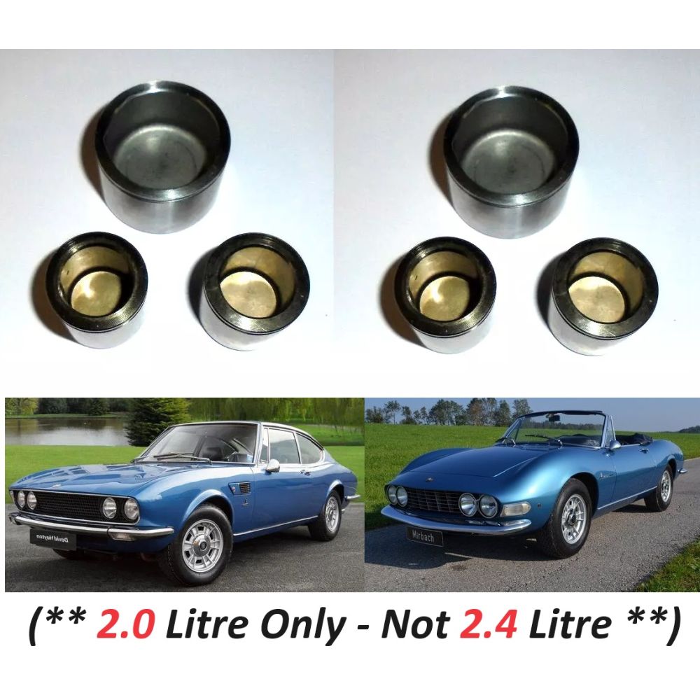 REAR BRAKE CALIPER PISTONS x6 (Fiat Dino 2000) (** 2.0 Litre Only **) (1966- 69)