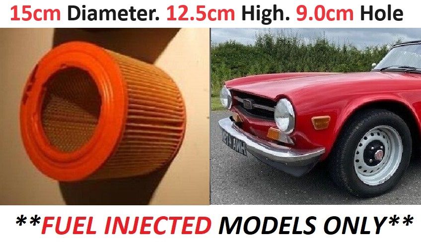AIR FILTER (Triumph TR6) (**With Fuel Injection**) (1969- 76)