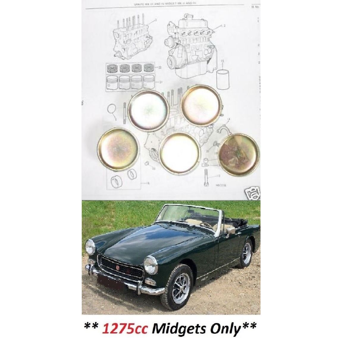 CORE PLUG ENGINE SET (MG Midget) (1275cc) (1966- 74)