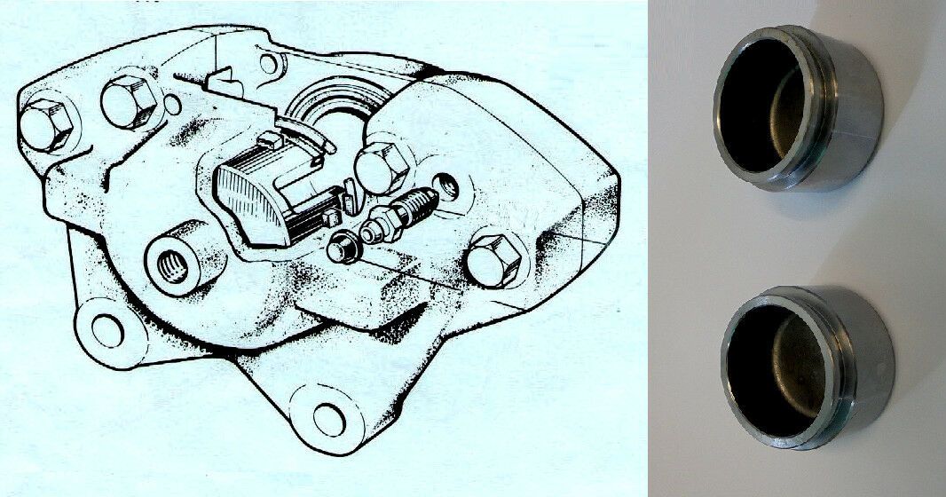 FRONT BRAKE CALIPER PISTONS x2 (Peugeot 204) (** From Aug 1965- 76**)  