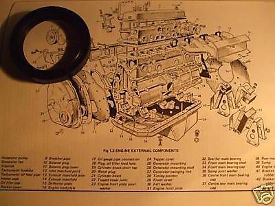 FRONT TIMING COVER ENGINE OIL SEAL (Austin A95 A99 A105 A110 Westminster) (1956- 68)  