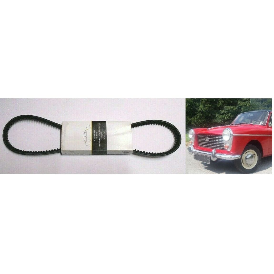 FAN BELT (Austin A40 Farina) (948cc & 198cc) (Dynamo Models) (1958- 68) 