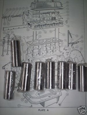 CAM FOLLOWERS SMALL x8 (Triumph Herald) (Pre 1965)