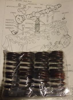ENGINE VALVE SPRINGS x8 (Triumph TR7) (1975- 81) 