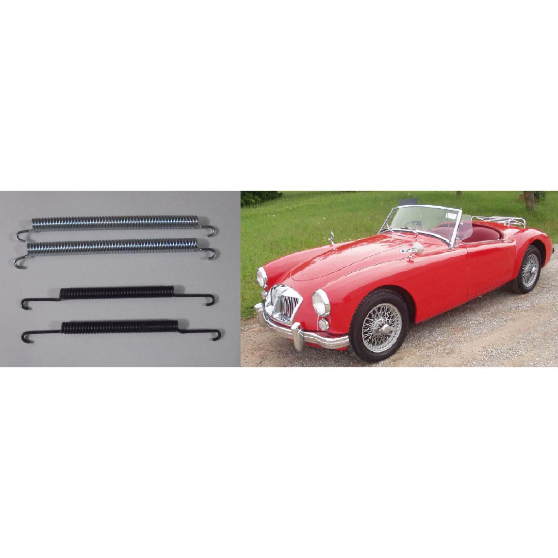 REAR BRAKE SHOE SPRINGS x4 (MGA) (1955- 62) 