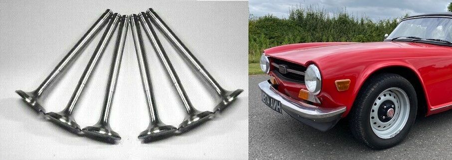 INLET VALVES x6 (Triumph TR5 TR6) (1967- 76) 