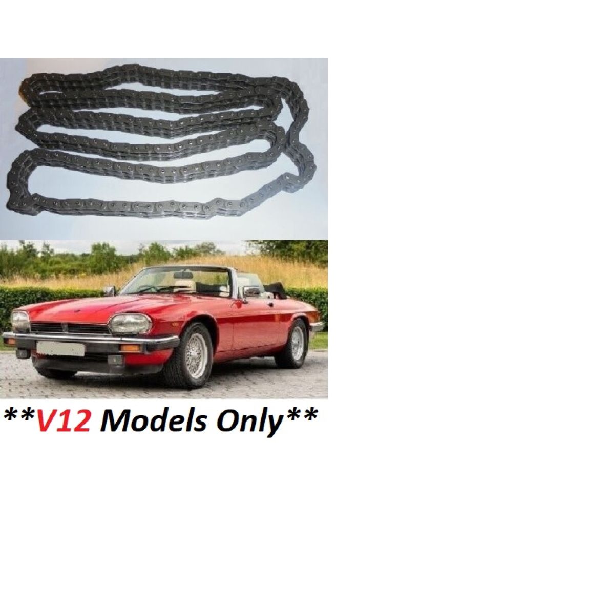 TIMING CHAIN (Jaguar XJS) (V12) (5.3 & 6.0 Litre) (1975- 96) 